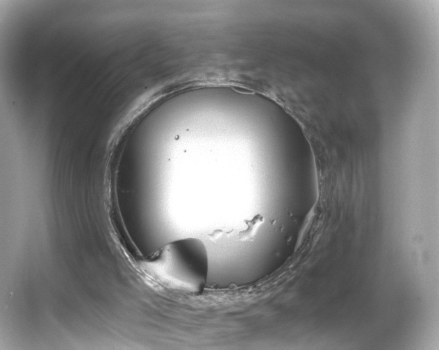 X0000066090005200603101218