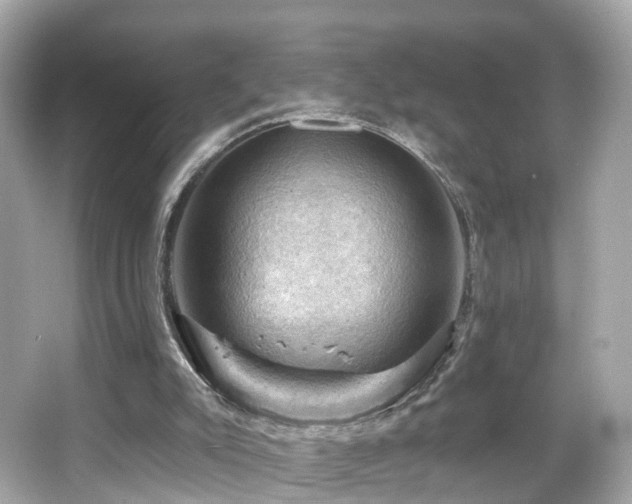 X0000066090007200603101218