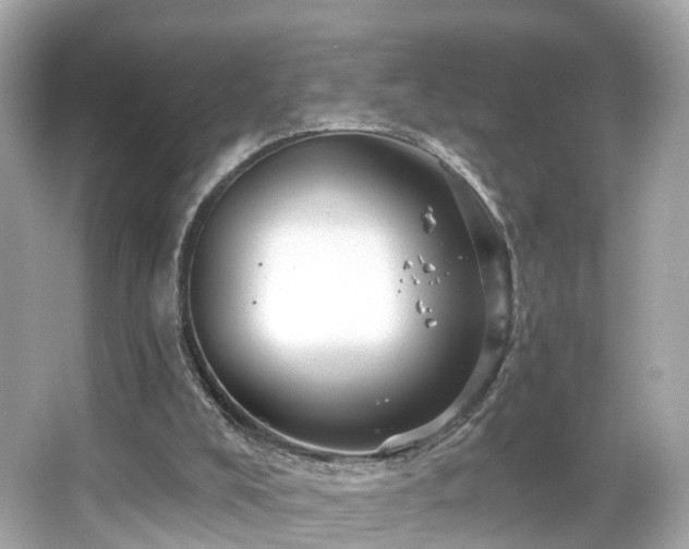 X0000066090008200603101218