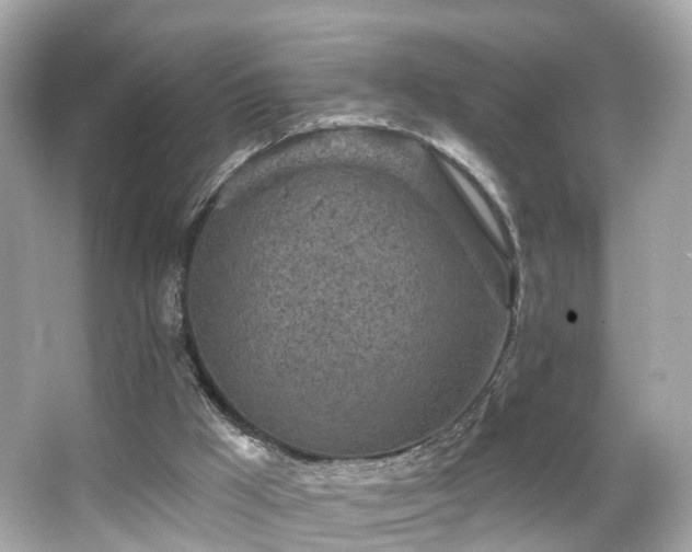 X0000066090009200603101218