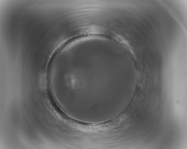 X0000066090012200603101218