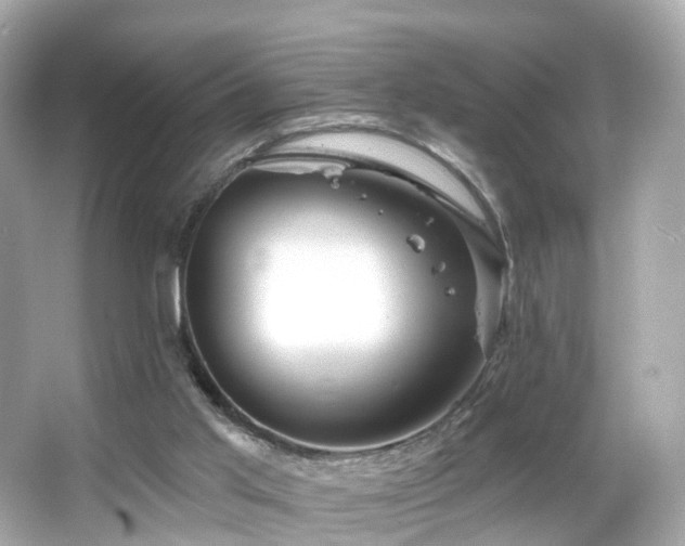 X0000066090013200603101218