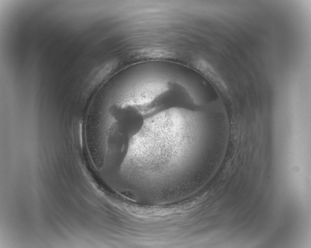 X0000066090014200603101218