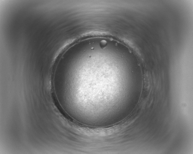 X0000066090015200603101218