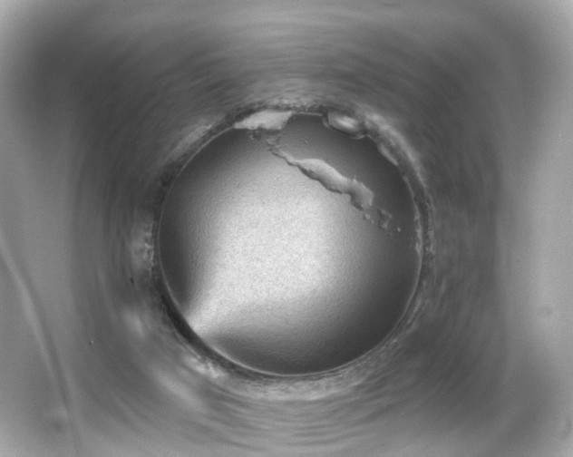 X0000066090017200603101218