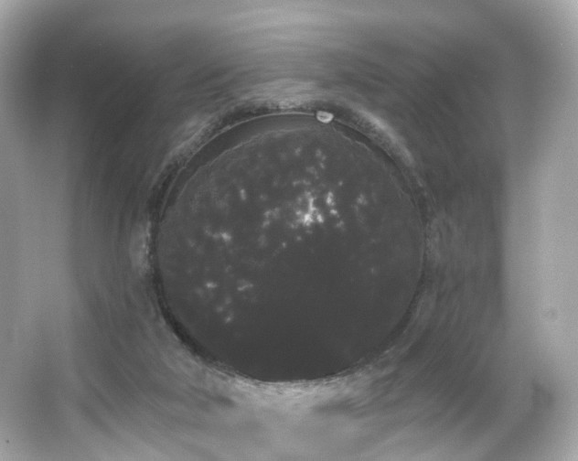 X0000066090018200603101218