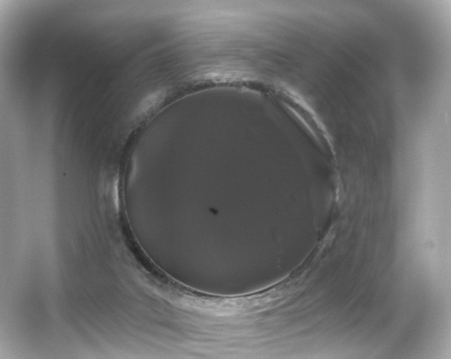 X0000066090019200603101218