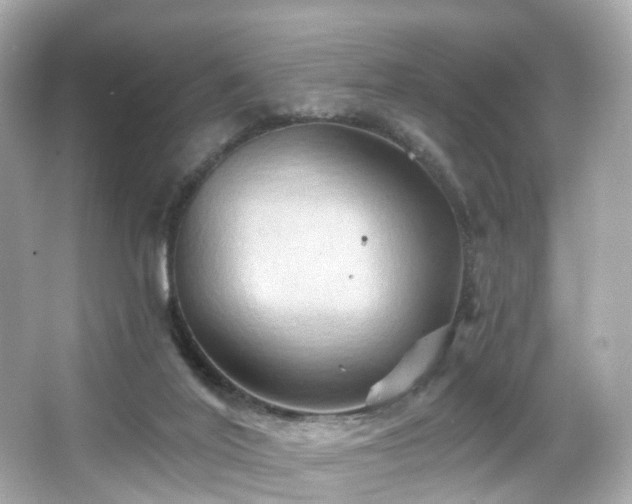 X0000066090020200603101218