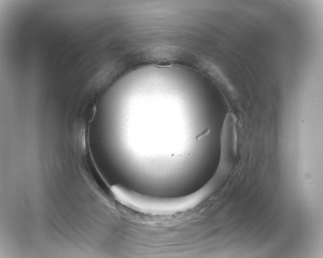 X0000066090021200603101218