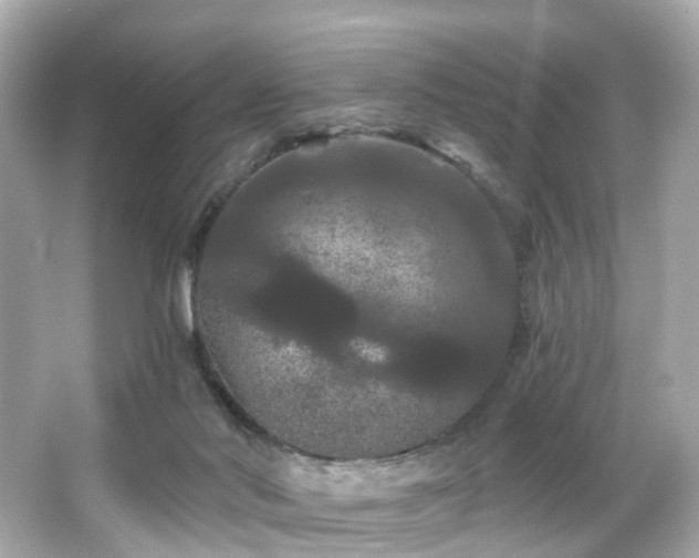 X0000066090022200603101218