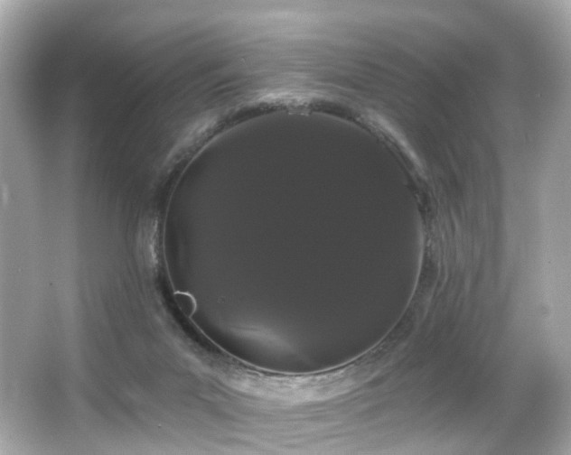 X0000066090023200603101218