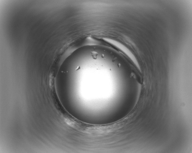 X0000066090025200603101218