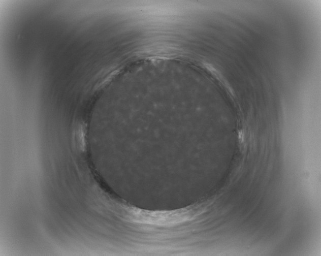 X0000066090026200603101218