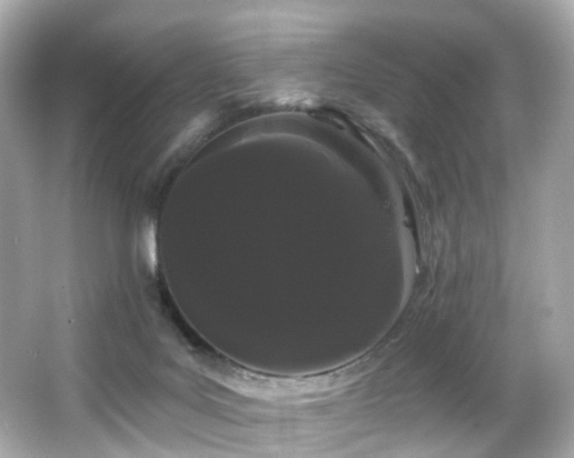 X0000066090027200603101218