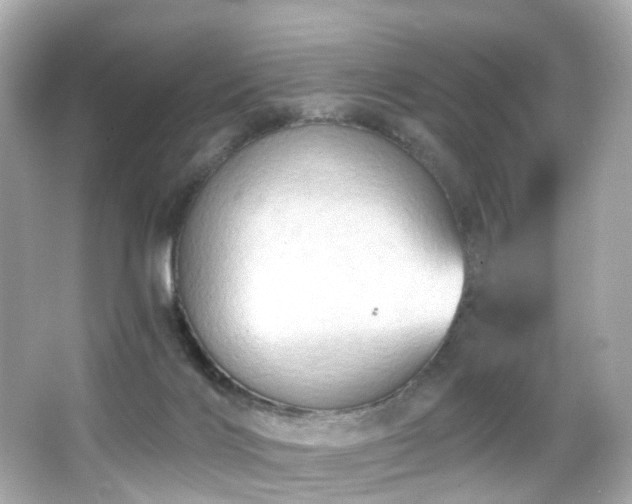 X0000066090028200603101218