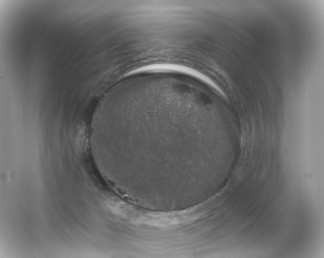 X0000066090029200603101217