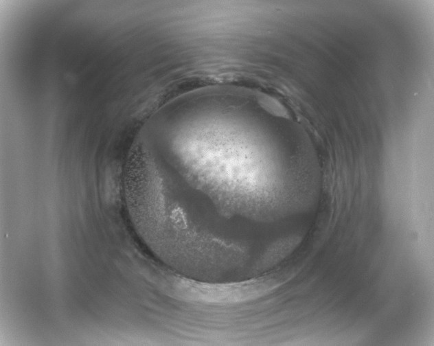 X0000066090030200603101217