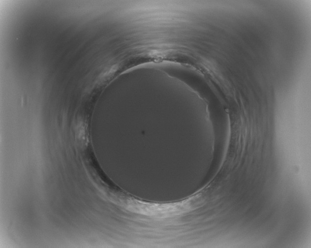 X0000066090031200603101217