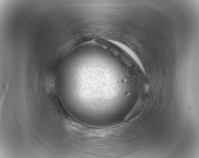 X0000066090033200603101217