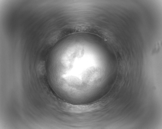 X0000066090034200603101217