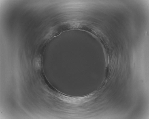 X0000066090035200603101217