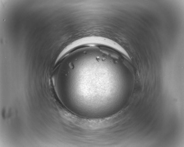 X0000066090037200603101217