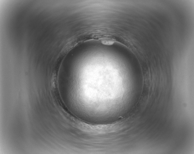 X0000066090038200603101217