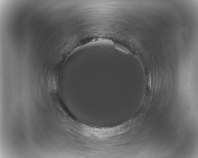 X0000066090039200603101217