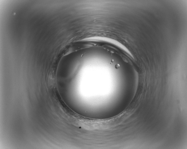 X0000066090040200603101217