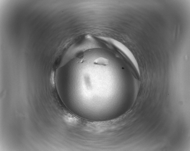 X0000066090041200603101217