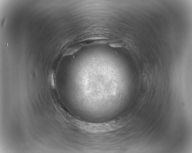 X0000066090042200603101217