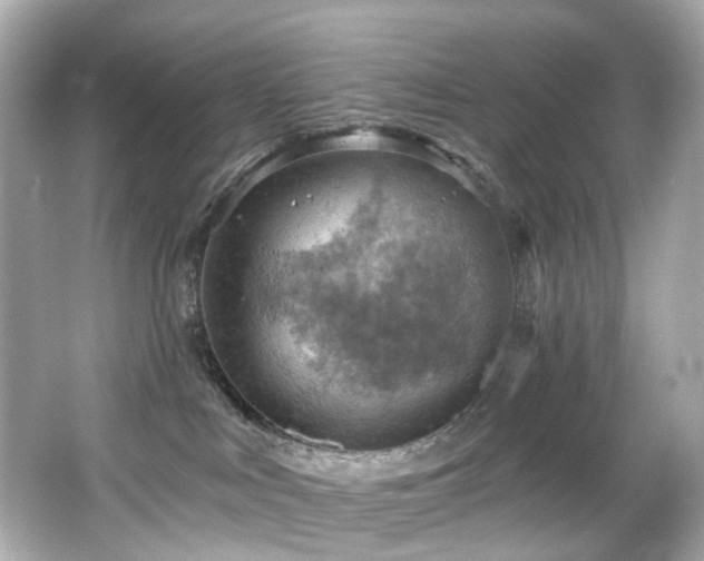 X0000066090043200603101217