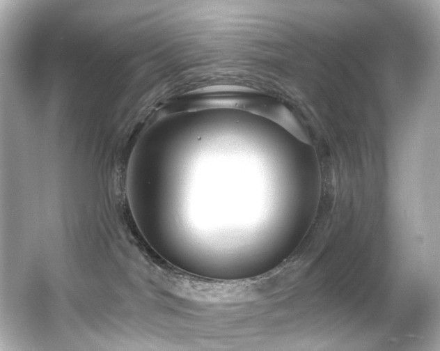 X0000066090044200603101217