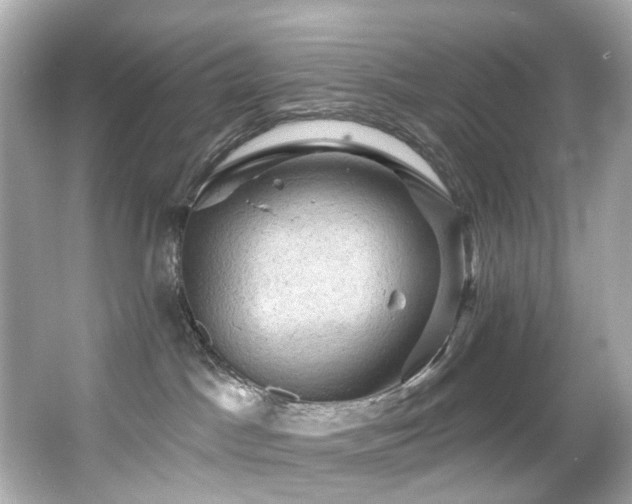 X0000066090045200603101217