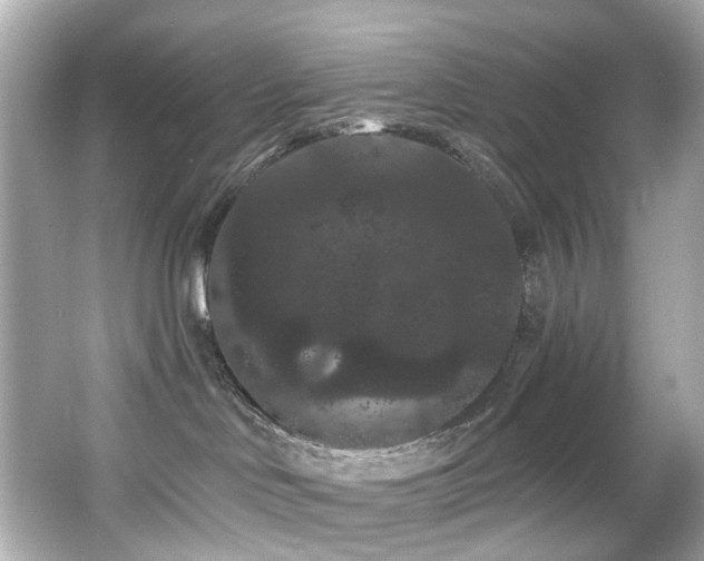 X0000066090046200603101217