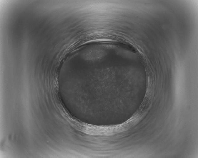 X0000066090048200603101217