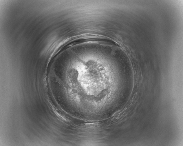 X0000066090050200603101216