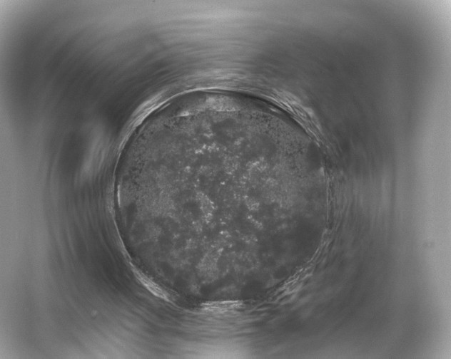 X0000066090051200603101216