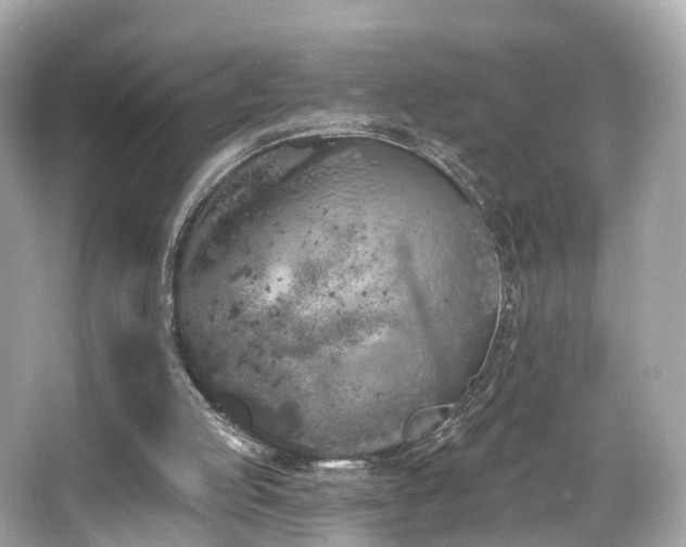 X0000066090053200603101216