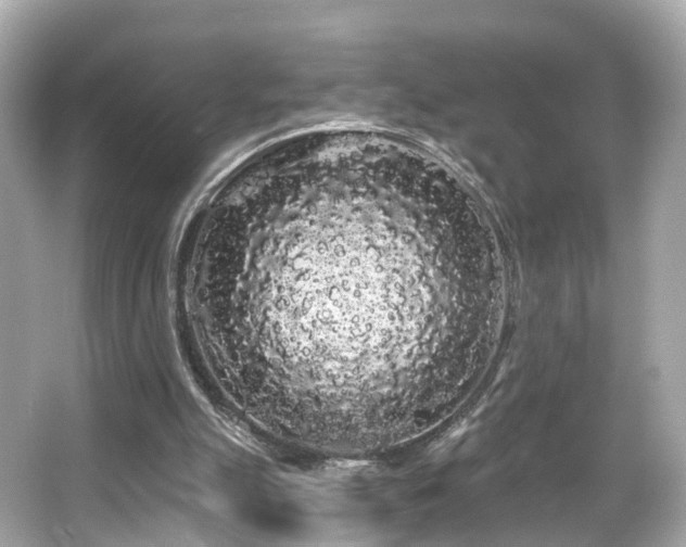 X0000066090055200603101216