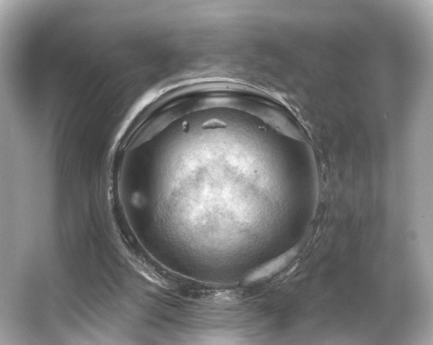 X0000066090056200603101216