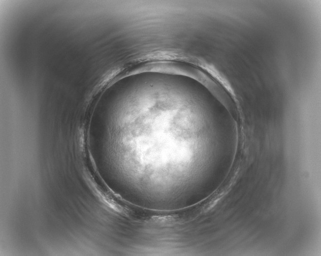 X0000066090057200603101217