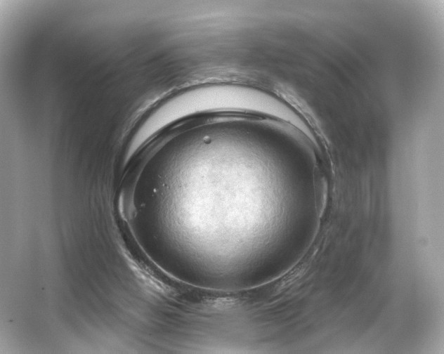 X0000066090058200603101217