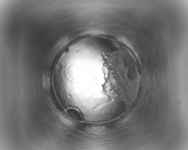 X0000066090063200603101217