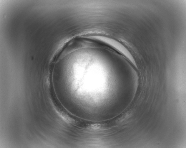 X0000066090064200603101217