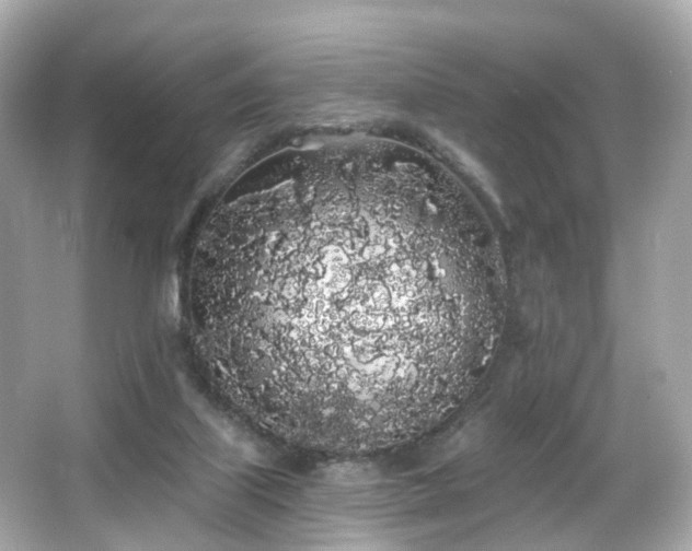 X0000066090067200603101217