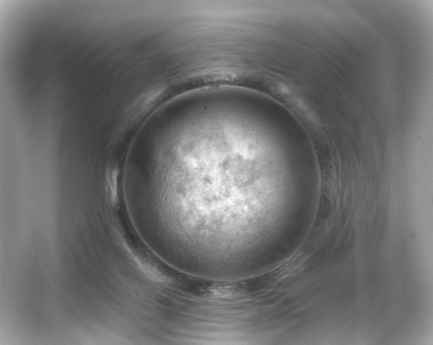 X0000066090070200603101217