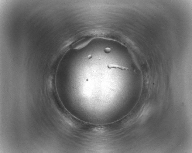 X0000066090071200603101217