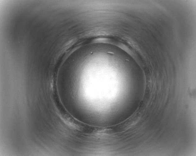 X0000066090072200603101217