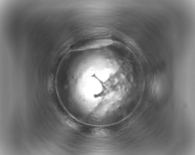 X0000066090073200603101217